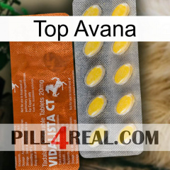 Top Avana 42